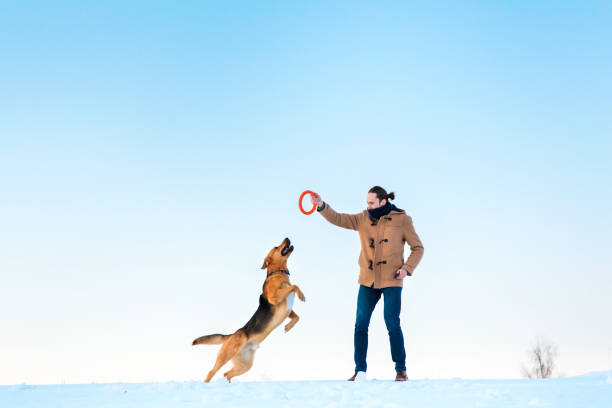 istock Man playing with big mixed breed dog in winter landscape. 1139571090