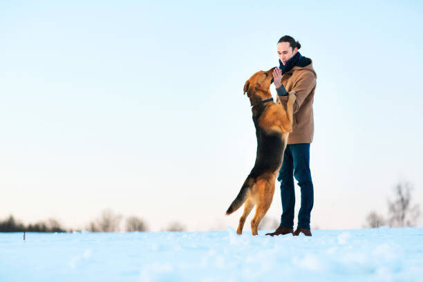 istock Man playing with big mixed breed dog in winter landscape. 1139571096