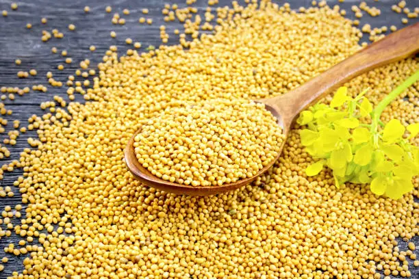 Photo of Mustard seeds in spoon with flower on board