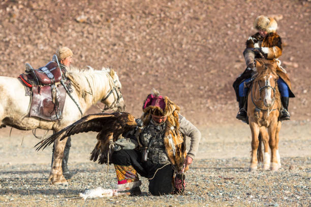 berkutchi - kazakh hunter with golden eagle. - independent mongolia fotos imagens e fotografias de stock