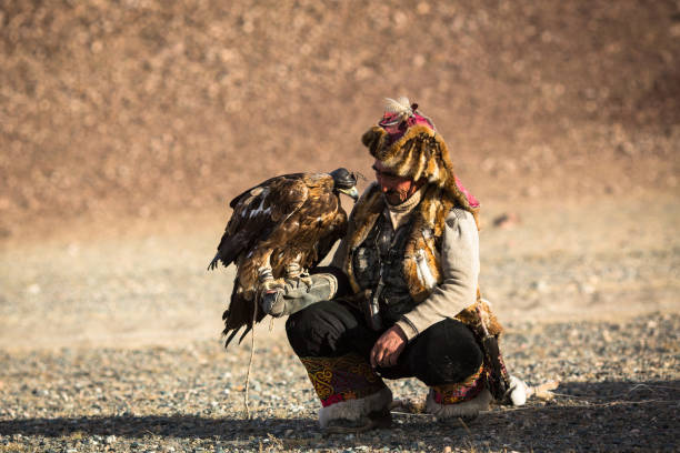 berkutchi-caçador do kazakh com águia dourada. - independent mongolia fotos - fotografias e filmes do acervo