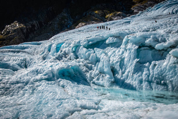 Fox Glacier New Zealand