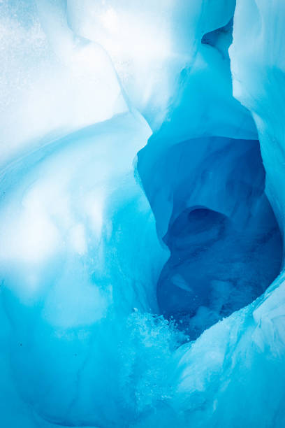 Fox Glacier New Zealand