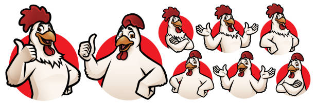 ilustraciones, imágenes clip art, dibujos animados e iconos de stock de gallo de dibujos animados y mascota de pollo para el logotipo con 8 poses_eps 10 vector - chicken poultry cartoon cockerel