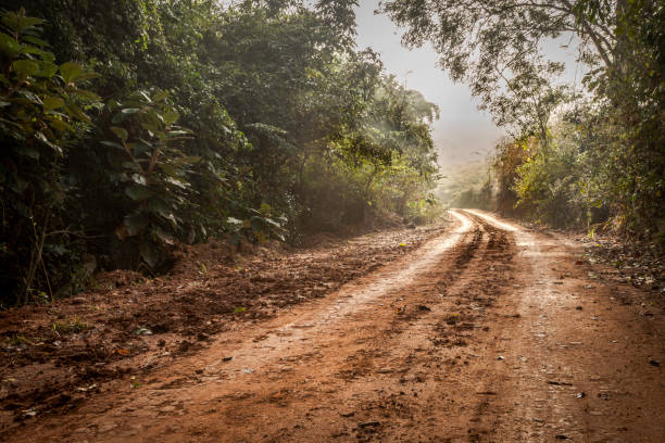 country road - mud terrain fotografías e imágenes de stock