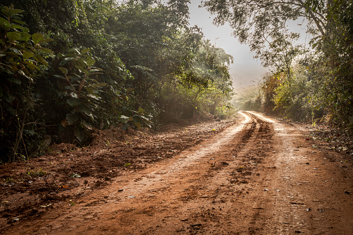 Brazilian rural road with vegetation, shade and mud