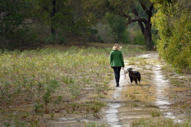 istock Young Australian Woman walking Dog 1139585165
