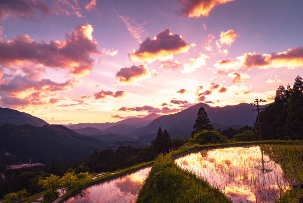istock Maruyama Rice Terraces, Mie, Japan 1139586271