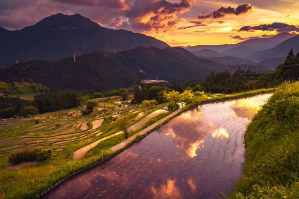 istock Maruyama Rice Terraces, Mie, Japan 1139586281
