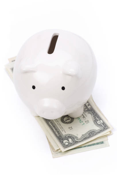 istock Piggy Bank and dollars 1139595042