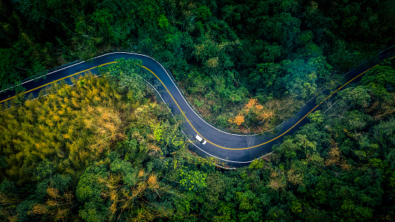 Car in rural road in deep rain forest with green tree forest, Aerial view car in the forest.