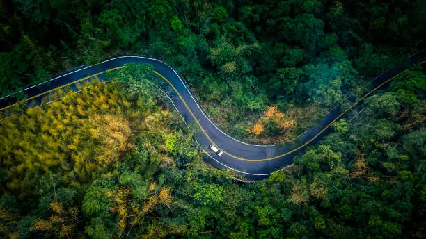 Photo of Car in rural road in deep rain forest with green tree forest, Aerial view car in the forest.