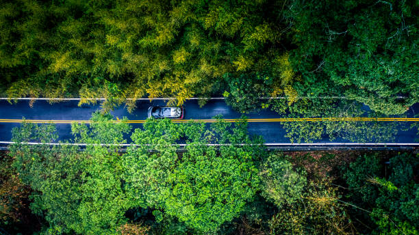 voiture dans la route rurale dans la forêt de pluie profonde avec la forêt d’arbre vert, voiture de vue aérienne dans la forêt. - autumn street single lane road tree photos et images de collection