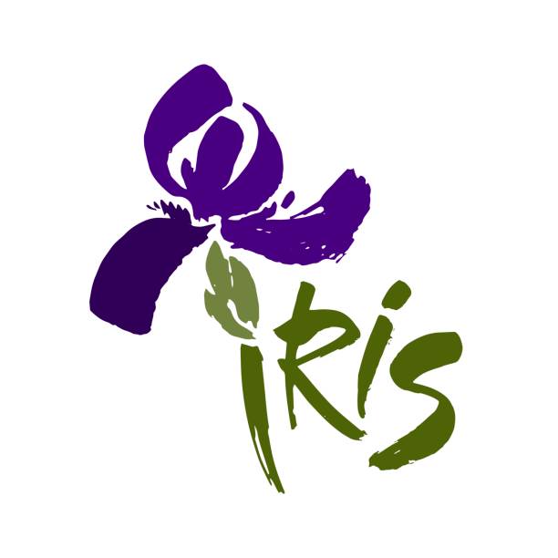 vector blumenlogo. floraler hintergrund. kalligrafie-tinte. stilisierte kalligraphische tinte-iris. - iris stock-grafiken, -clipart, -cartoons und -symbole