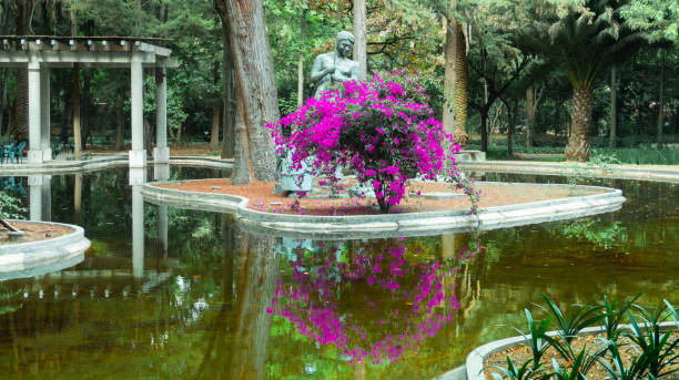 istock Water garden landscape. 1139599284