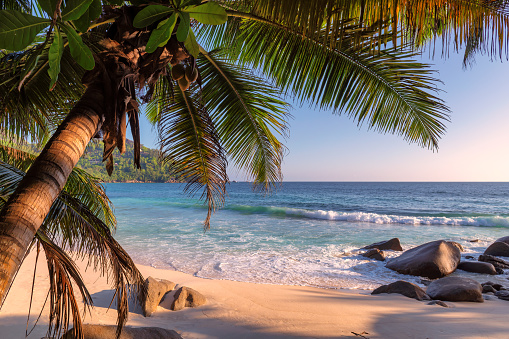Atardecer en la playa exótica en la isla tropical. photo