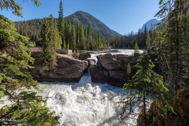 yoho national park, canada - british columbia canada lake emerald lake imagens e fotografias de stock