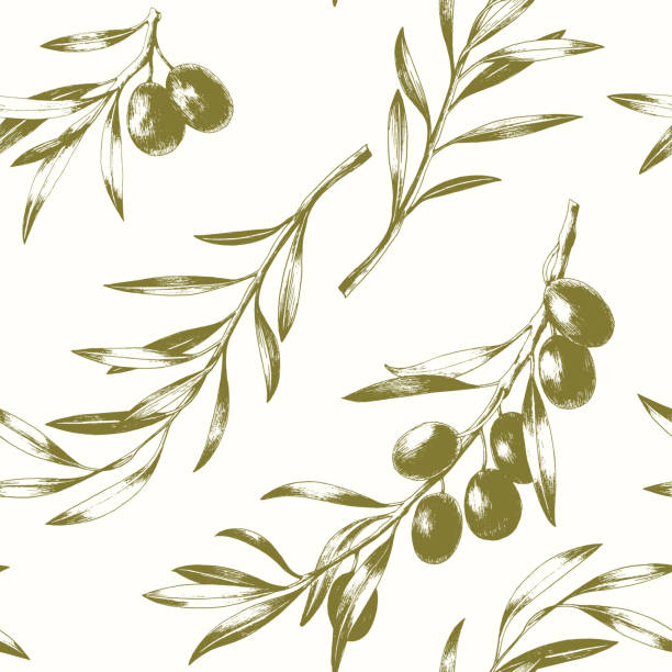 nahtloses muster mit olivenzweigen. - olive tree illustrations stock-grafiken, -clipart, -cartoons und -symbole