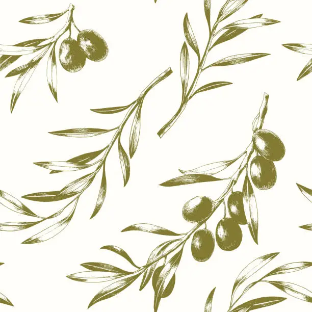 Vector illustration of Seamless pattern with olive branches.