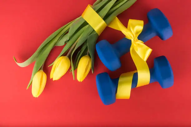 Three yellow tulips and dumbbells with bow on red background