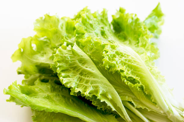 istock Leaves of lettuce light green background 1139604989