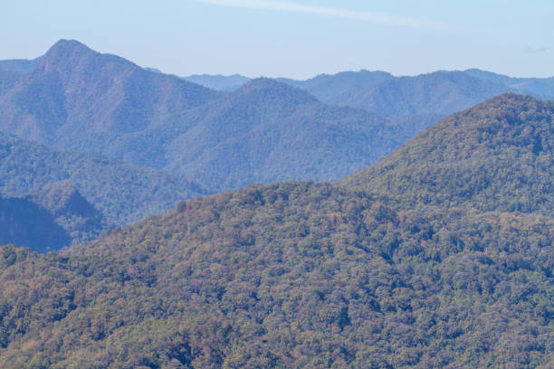 istock Pictures of trees and mountain 1139606933