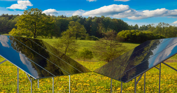 istock solar panels on a meadow of blooming dandelions 1139606997