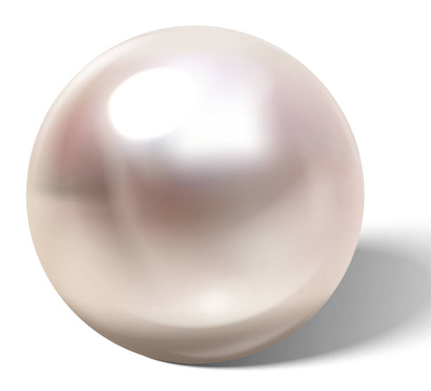 아름 다운 현실적인 진주. - black pearl pearl horizontal necklace stock illustrations