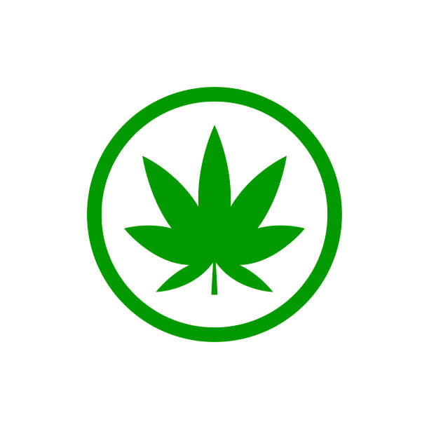 grünes cannabisblatt auf dem weißen bakschon. kräuter-cannabis. hanfblätter-symbol. vektorabbildung - symbol leaf white background isolated stock-grafiken, -clipart, -cartoons und -symbole