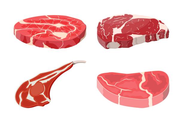 ilustraciones, imágenes clip art, dibujos animados e iconos de stock de colección de bistec de carne. - blood on knuckles