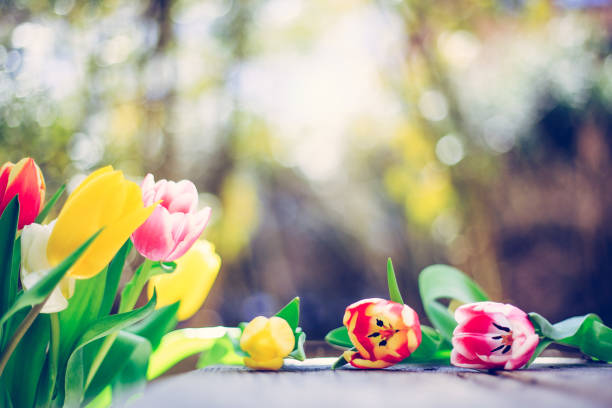 istock Arrangement of colorful tulips on a rustic wooden table, text space 1139609830