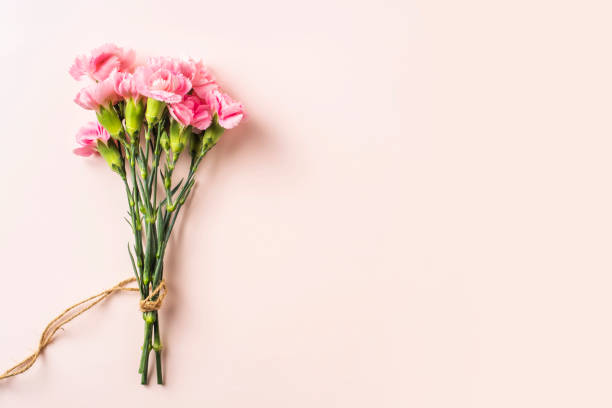 istock top view of carnation on pink background 1139609861