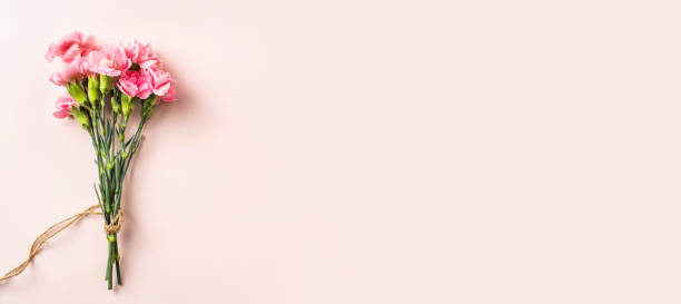istock top view of carnation on pink background 1139609869