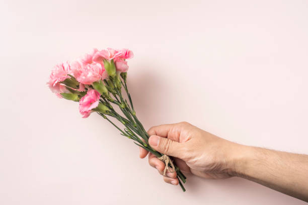 istock top view of man hand hold carnation on pink 1139609899