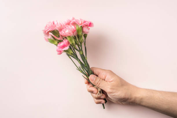 istock top view of man hand hold carnation on pink 1139609908