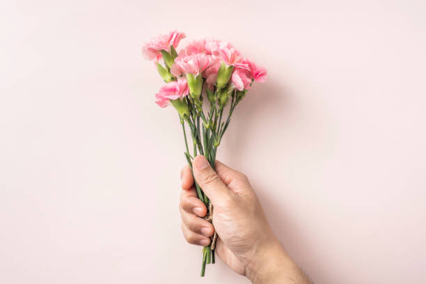 istock top view of man hand hold carnation on pink 1139609925