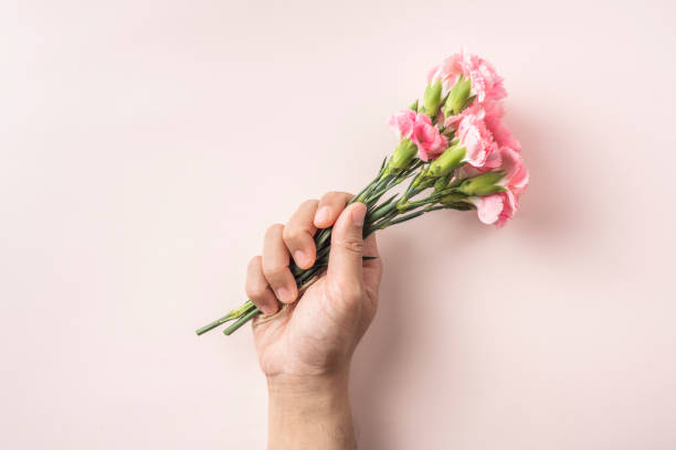 istock top view of man hand hold carnation on pink 1139609928