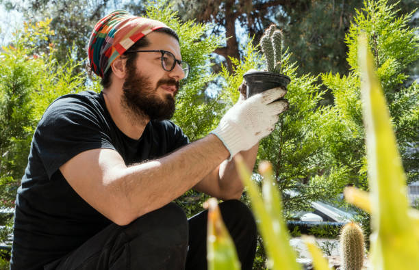 istock Man planting cactus and succulent 1139611363