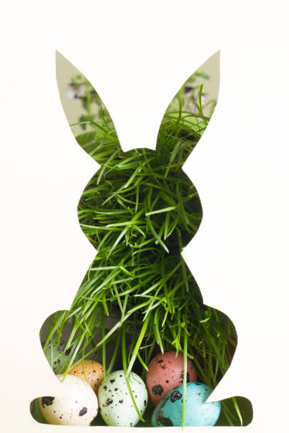 istock Silhouette of easter rabbit on paper with green grass and colorful egg abstract background 1139611565