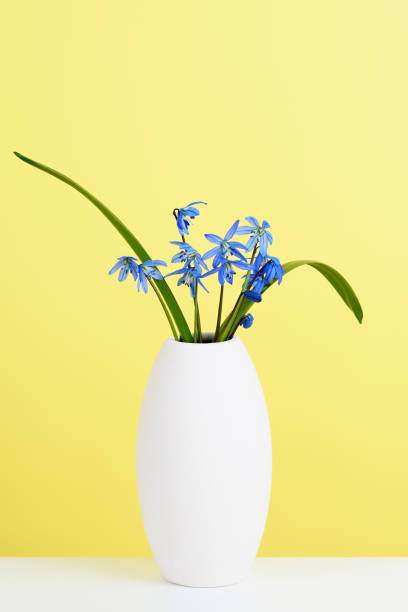 istock Blue scilla flowers in vase 1139613748