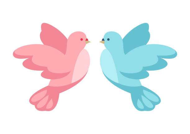 Ilustración de Paloma Rosa Y Azul y más Vectores Libres de Derechos de Boda - Boda, Paloma - Ave, Paloma torcaz - Ave - iStock Ilustración de Paloma Rosa Y Azul y más Vectores Libres de Derechos de Boda - Boda, Paloma - Ave, Paloma torcaz - Ave - iStock