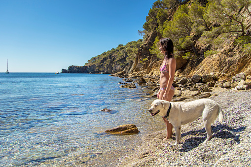 Full length of woman standing with Labrador Retriever on shore. Side view of female is looking away on sunny day. She is at beach during summer vacation.
