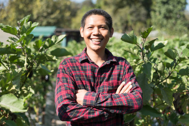 istock Asian farmer in vegetable garden 1139619590