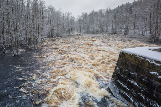 Wild Morrum river in snowy winter, Sweden