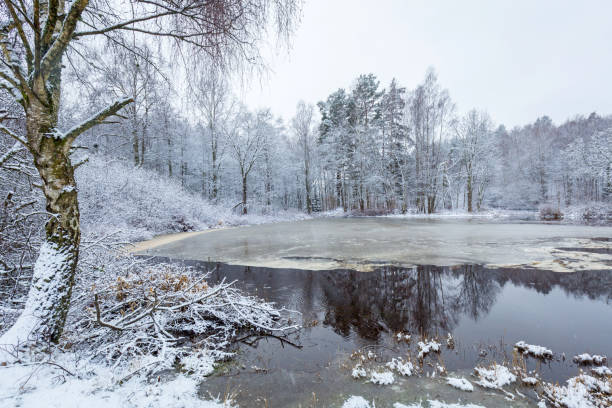 istock Morrum river in snowy winter scenery 1139619901