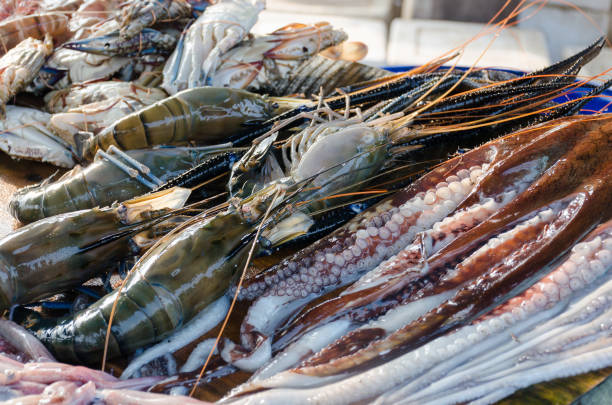 mercado de peixe de polvo fresco, lagostim e outros frutos do mar. - prepared shellfish tray variation catch of fish - fotografias e filmes do acervo