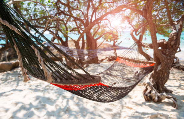 istock Relax cradle hanking with the beach tree. 1139620269