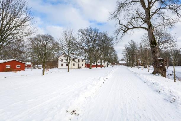 スウェーデンの赤い木造住宅と冬の風景 - sweden cottage winter snow ストックフォトと画像