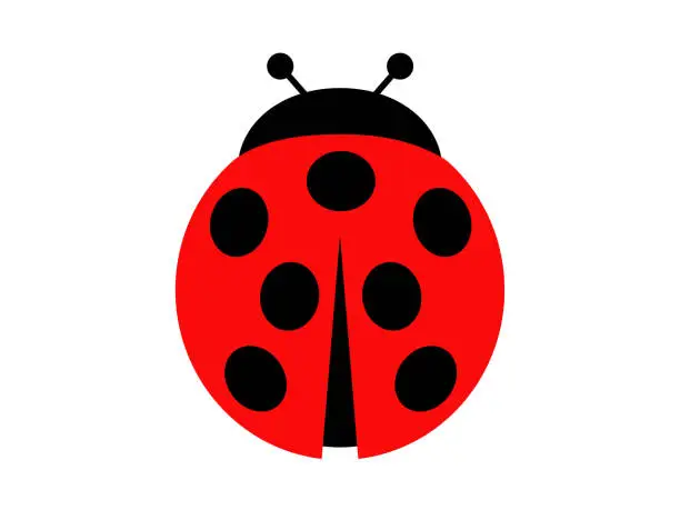 Vector illustration of Ladybug