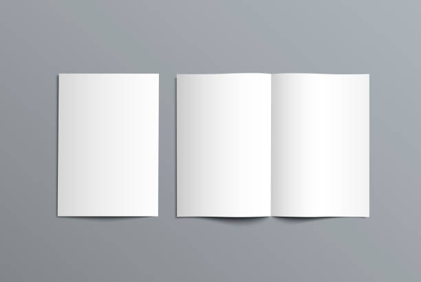 vector mockup zweifach katalog für die präsentation des designs. - broschüre stock-grafiken, -clipart, -cartoons und -symbole